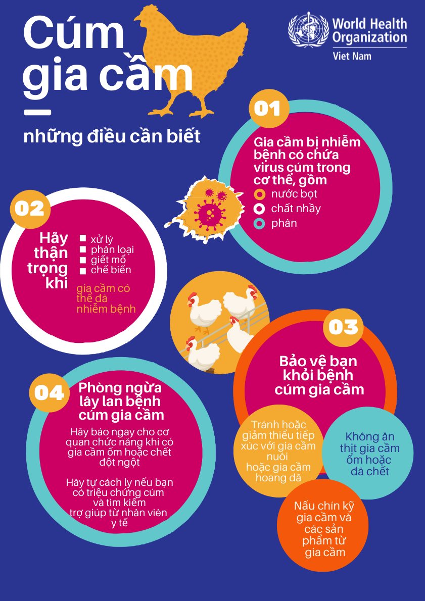 Những điều cần biết về cúm A/ H5N1